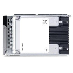 Dell 7.68TB SSD up to SAS 24Gbps ISE Read Intensive 512e 2.5in Hot-plug 1WPD (345-BFVG)