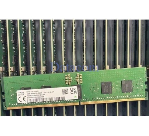 SK Hynix 16GB DDR5-5600 RDIMM Server RAM (HMCG78AGBRA191N)